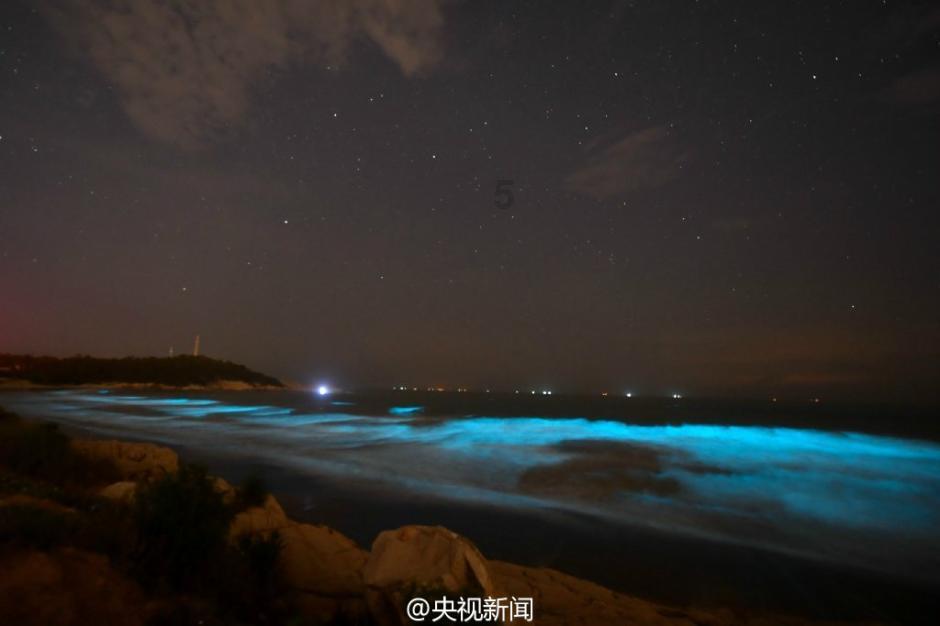 你见过最牛的下酒菜有多牛?网友:就着三粒花生米喝了一斤散装酒
