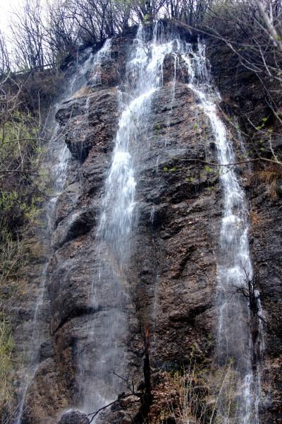 逃出猫头鹰岛